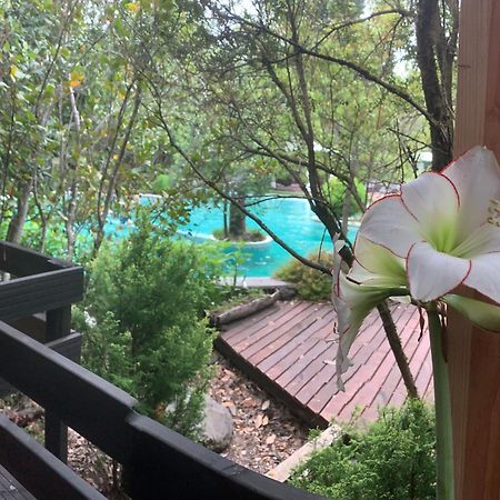 Cabanas Natural Park Lodge Pucón المظهر الخارجي الصورة